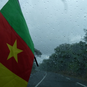 le drapeau du Cameroun